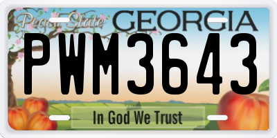 GA license plate PWM3643