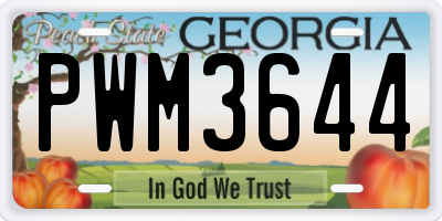 GA license plate PWM3644