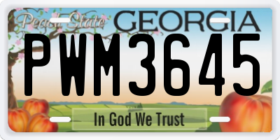 GA license plate PWM3645