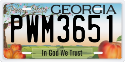 GA license plate PWM3651