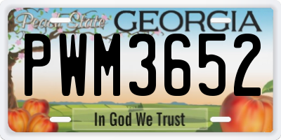 GA license plate PWM3652