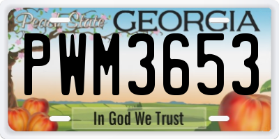 GA license plate PWM3653