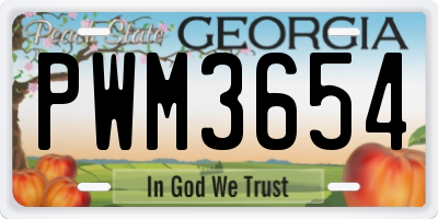 GA license plate PWM3654