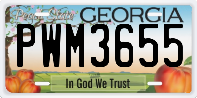GA license plate PWM3655
