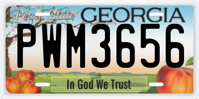 GA license plate PWM3656