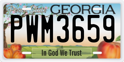 GA license plate PWM3659