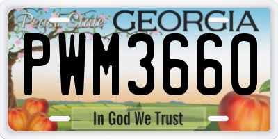 GA license plate PWM3660