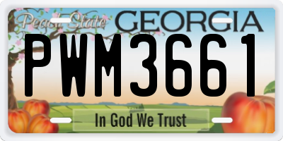 GA license plate PWM3661
