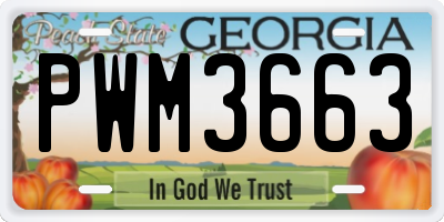GA license plate PWM3663