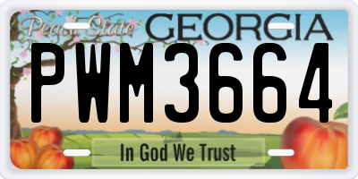 GA license plate PWM3664