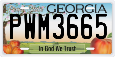 GA license plate PWM3665