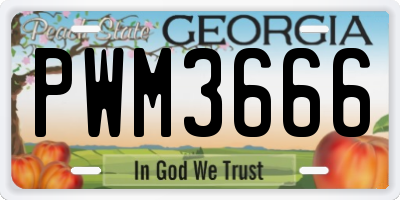 GA license plate PWM3666