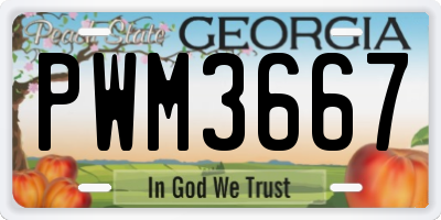 GA license plate PWM3667