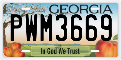 GA license plate PWM3669