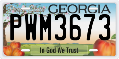 GA license plate PWM3673