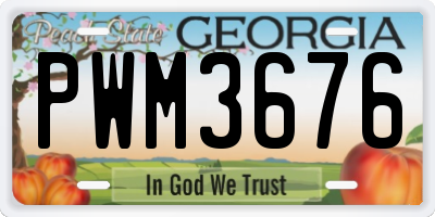 GA license plate PWM3676