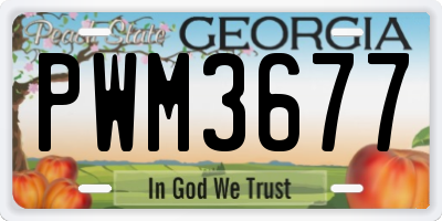 GA license plate PWM3677