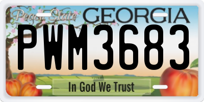 GA license plate PWM3683