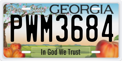 GA license plate PWM3684