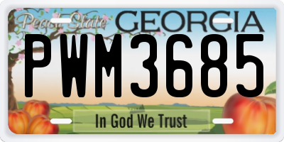 GA license plate PWM3685