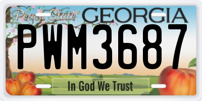 GA license plate PWM3687