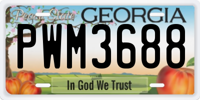 GA license plate PWM3688