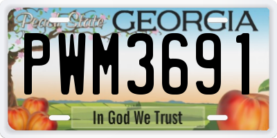 GA license plate PWM3691