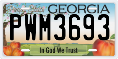 GA license plate PWM3693