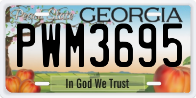 GA license plate PWM3695