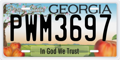 GA license plate PWM3697