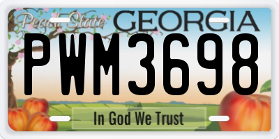 GA license plate PWM3698