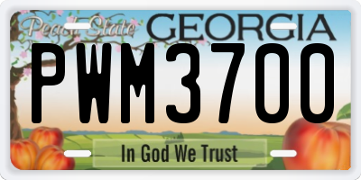 GA license plate PWM3700