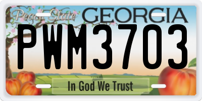 GA license plate PWM3703