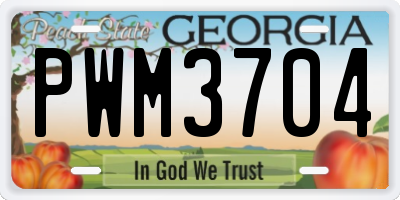 GA license plate PWM3704