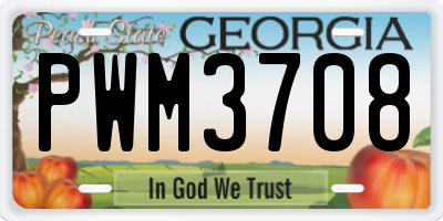 GA license plate PWM3708