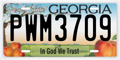 GA license plate PWM3709