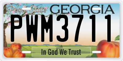 GA license plate PWM3711