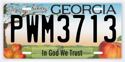 GA license plate PWM3713
