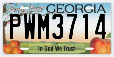 GA license plate PWM3714