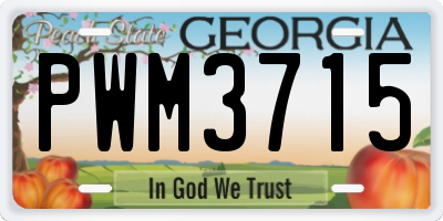 GA license plate PWM3715