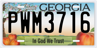 GA license plate PWM3716