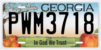 GA license plate PWM3718