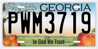 GA license plate PWM3719