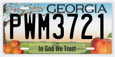 GA license plate PWM3721
