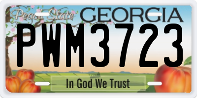 GA license plate PWM3723