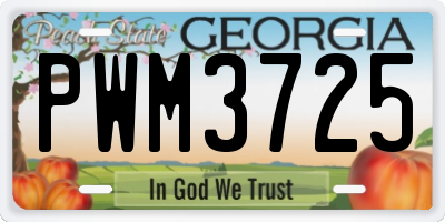 GA license plate PWM3725