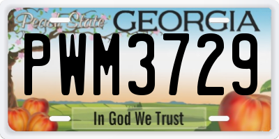 GA license plate PWM3729