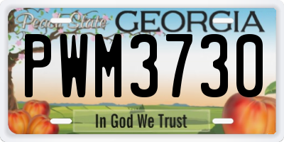GA license plate PWM3730