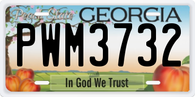 GA license plate PWM3732