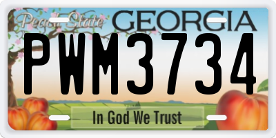 GA license plate PWM3734